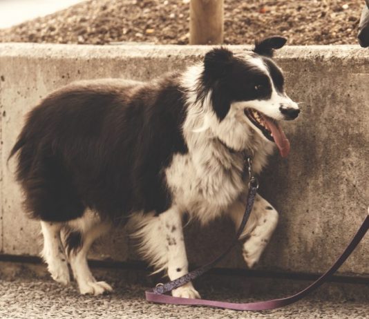Nebenjob für Schüler