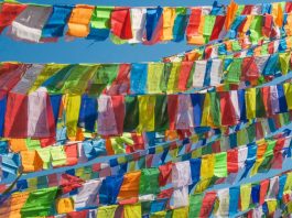 Patchwork Lebenslauf