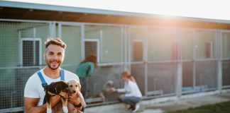 Tierheim-Jobs sind vielfältig