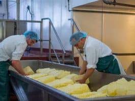 Männer bei der Käseherstellung, was ist ein Akkordlohn?
