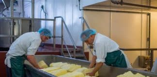 Männer bei der Käseherstellung, was ist ein Akkordlohn?