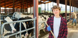Ein Jugendlicher hilft auf dem Bauernhof, was steht im Jugendarbeitsschutzgesetz?