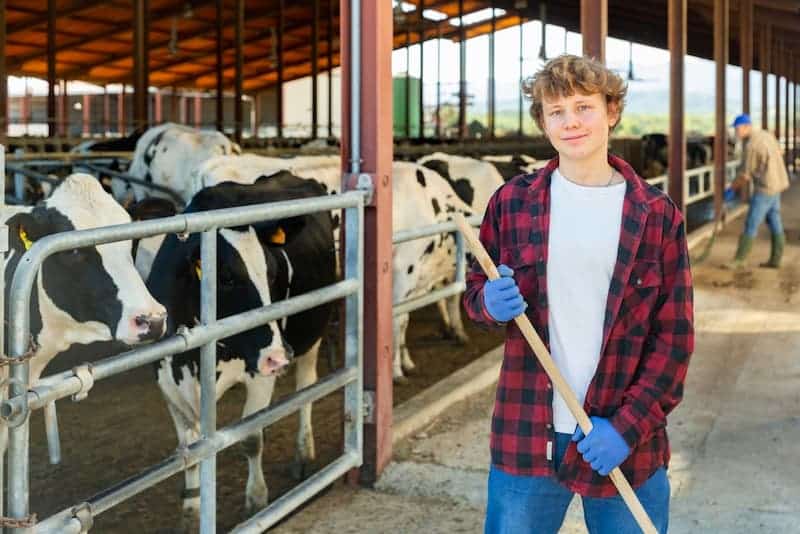 Ein Jugendlicher hilft auf dem Bauernhof, was steht im Jugendarbeitsschutzgesetz?
