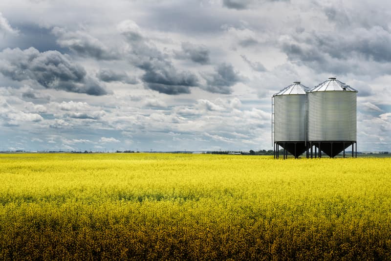 Zwei Silos auf dem Feld, was ist Silodenken im Unternehmen?