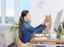 Eine Frau arbeitet im Homeoffice. Sie soll den Arbeitsschutz im Homeoffice beachten. Auf dem Schreibtisch sitzt eine Katze. Die Frau hält sie fest, damit sie nicht auf die Tastatur läuft.