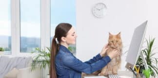 Arbeitsschutz im Homeoffice: Gesund und sicher zu Hause arbeiten Eine Frau arbeitet im Homeoffice. Sie soll den Arbeitsschutz im Homeoffice beachten. Auf dem Schreibtisch sitzt eine Katze. Die Frau hält sie fest, damit sie nicht auf die Tastatur läuft.